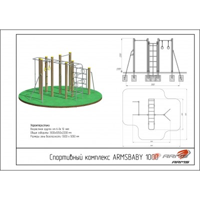 Спортивный комплекс ARMSBABY 1000